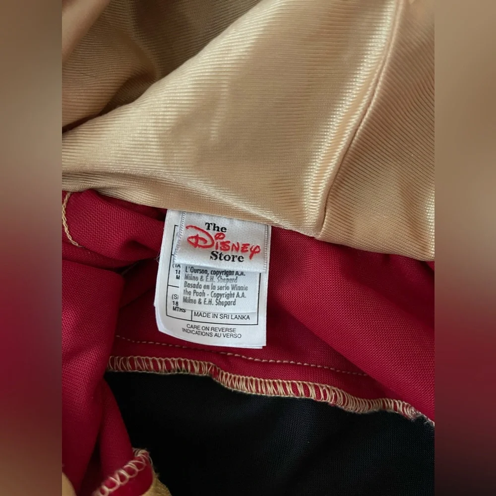 Winnie the Pooh honey Bee costume Disney toddler baby - Picture 5 of 6